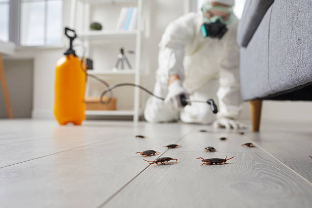 Commercial Kitchen Cockroach Control in Aristocrat Ranchettes